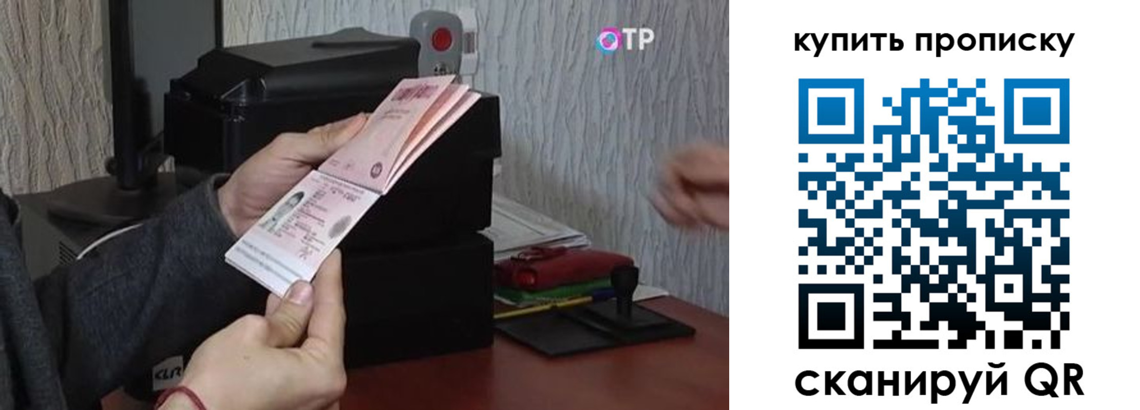 прописка гарантия в Владимирской области