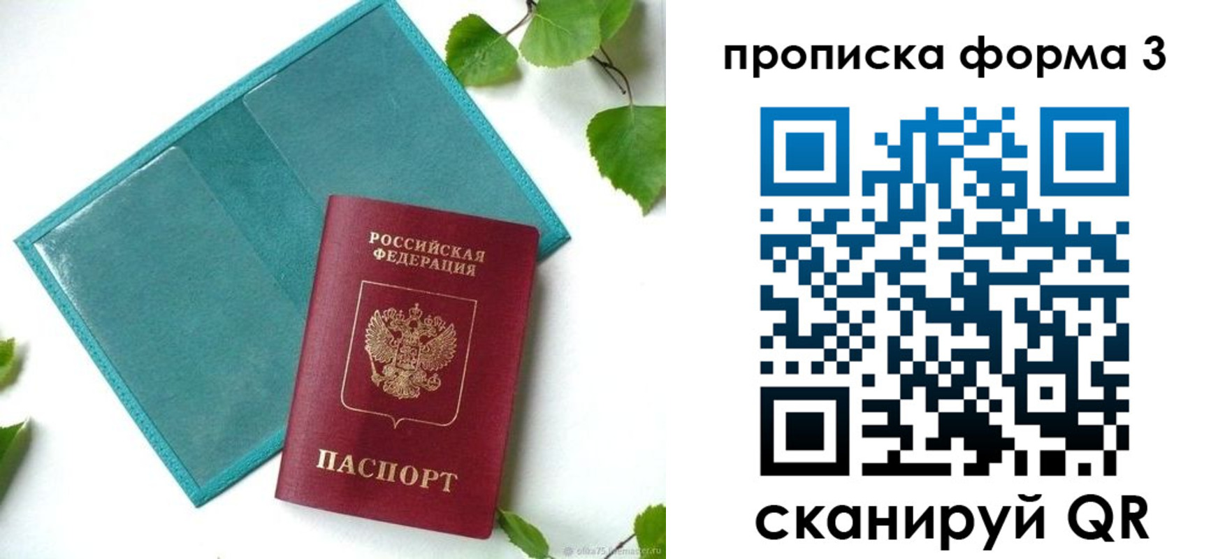прописка ребенка в Владимирской области